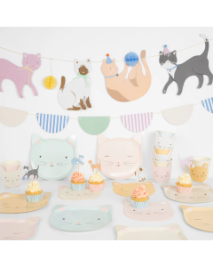 Cute Kittens Partybox (8 Personen)